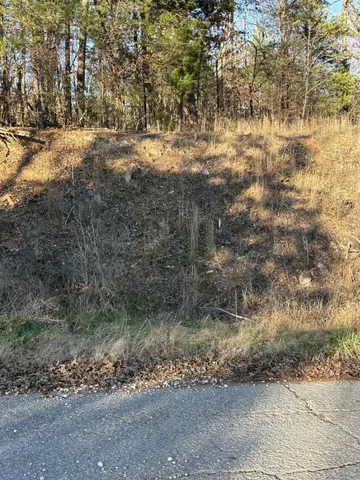 $165,000 | 0 South Old Highway 96 South, Burns, TN 37029