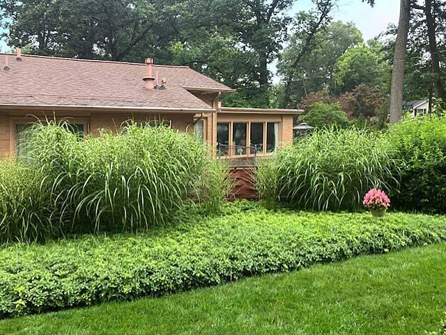 970 Briarcliff Road Jackson, MI 49203 - Photo 40 of 50 970 Briarcliff Summer 10