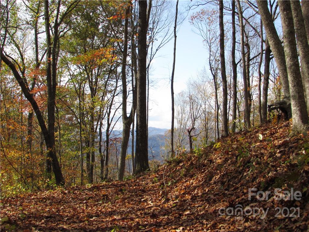 0 Red Wolf Run, Unit 39 Mars Hill, NC 28754 - Photo 12 of 25 a view of a backyard of the house