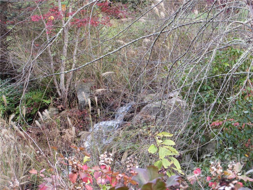 0 Red Wolf Run, Unit 39 Mars Hill, NC 28754 - Photo 20 of 25 a backyard of a house with lots of green space and a fountain