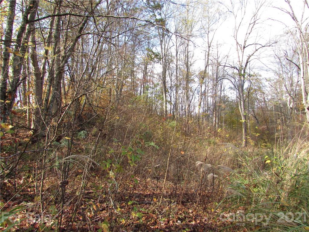 0 Red Wolf Run, Unit 39 Mars Hill, NC 28754 - Photo 2 of 25 a view of a yard