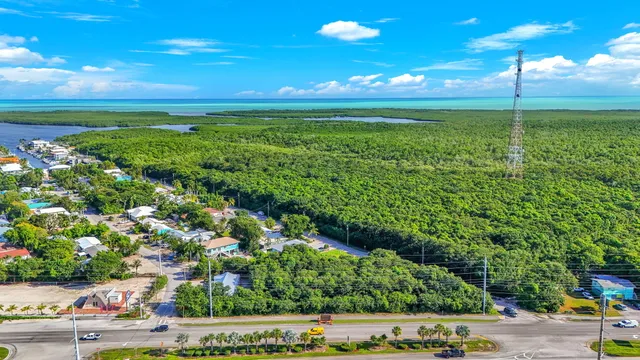 a view of a field with an ocean