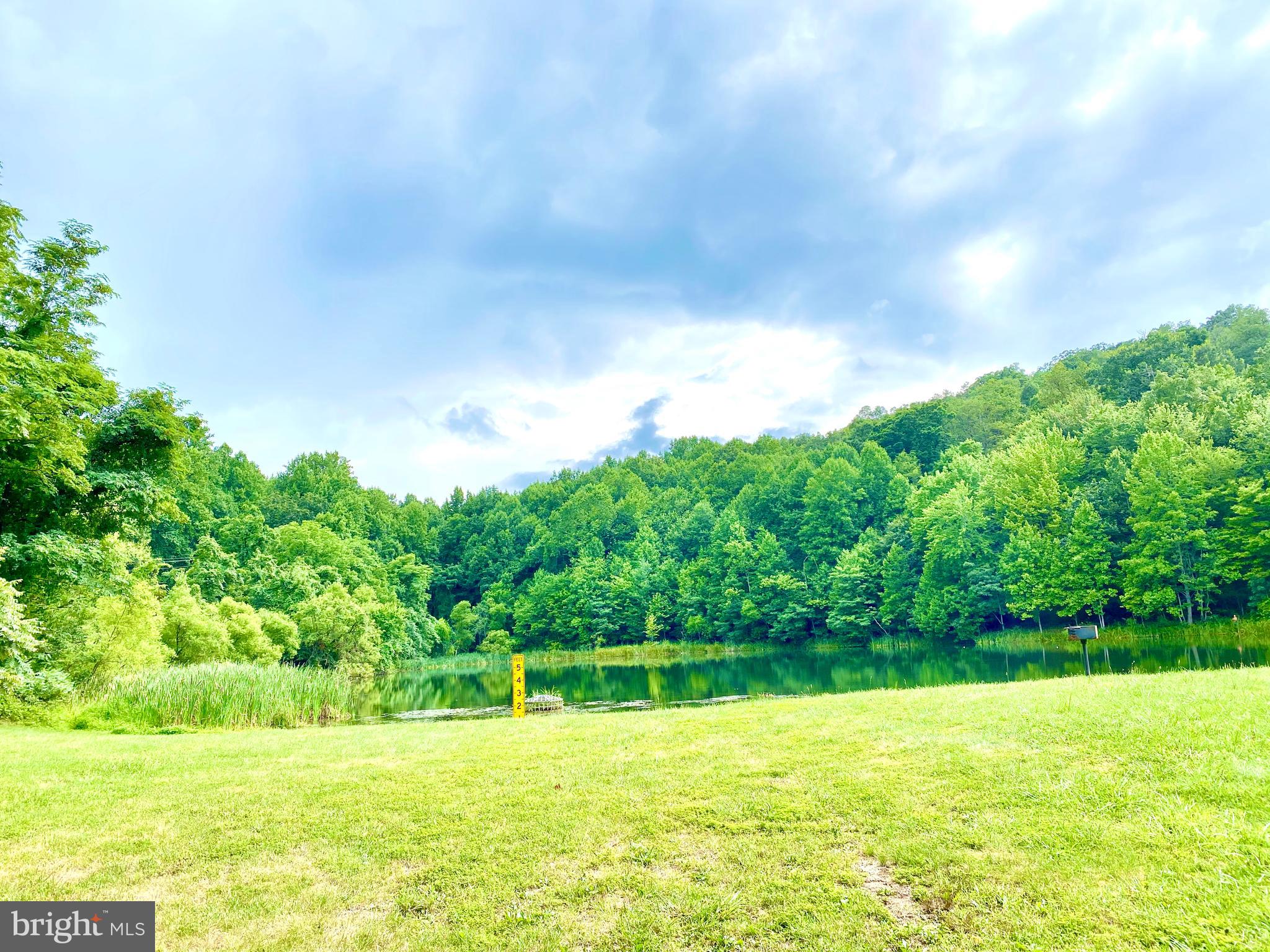 6799 Howellsville Road Boyce, VA 22620 - Photo 3 of 53 Spring Lake
