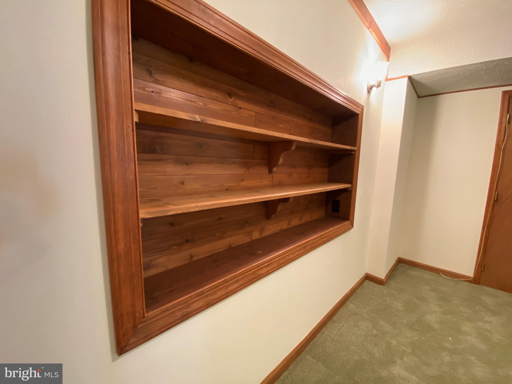 6799 Howellsville Road Boyce, VA 22620 - Photo 24 of 53 Basement Built-ins