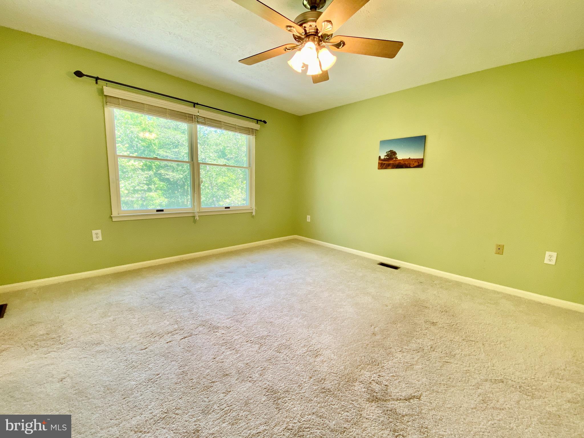 6799 Howellsville Road Boyce, VA 22620 - Photo 26 of 53 Master Bedroom