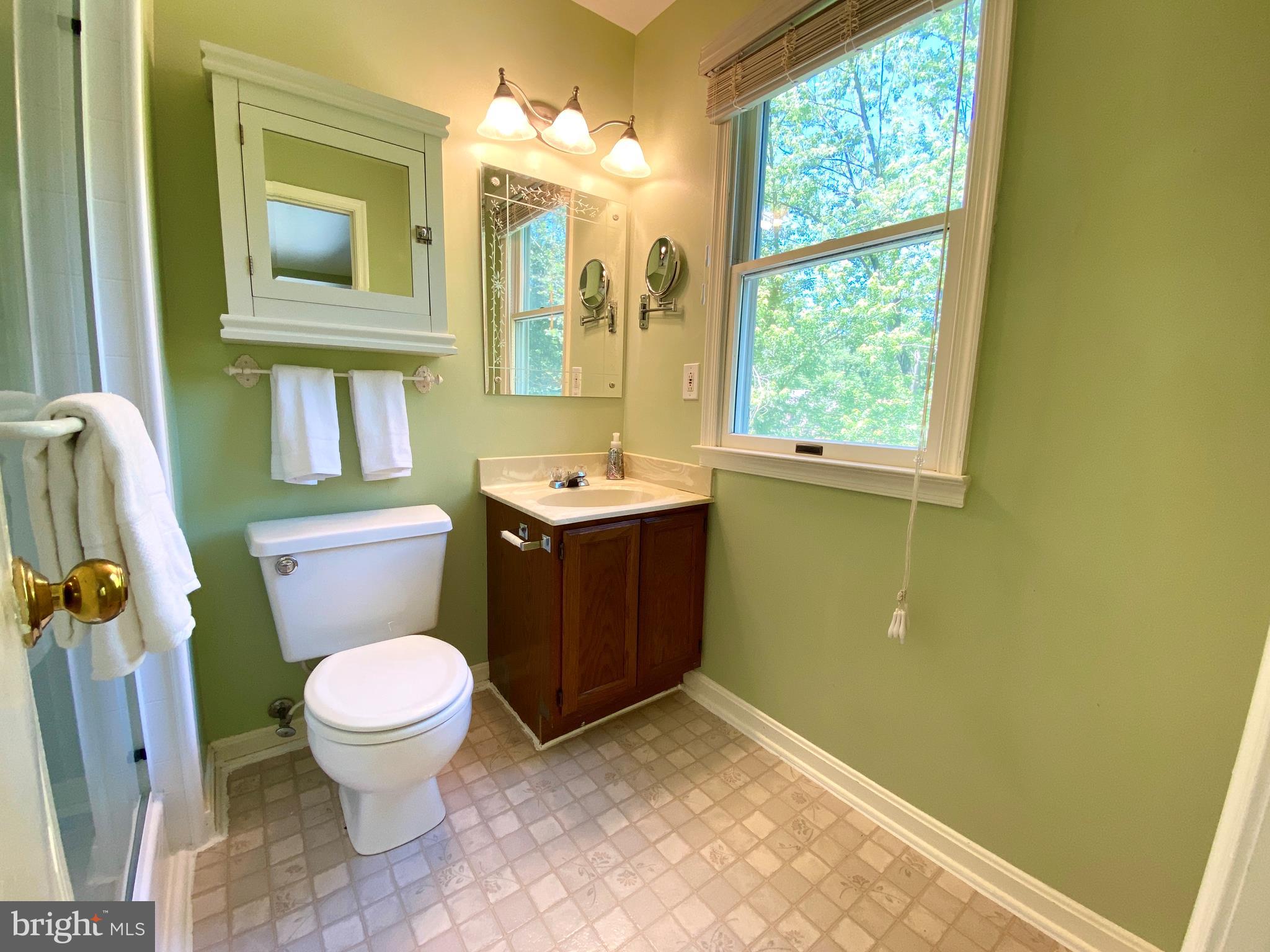 6799 Howellsville Road Boyce, VA 22620 - Photo 29 of 53 Master Bathroom
