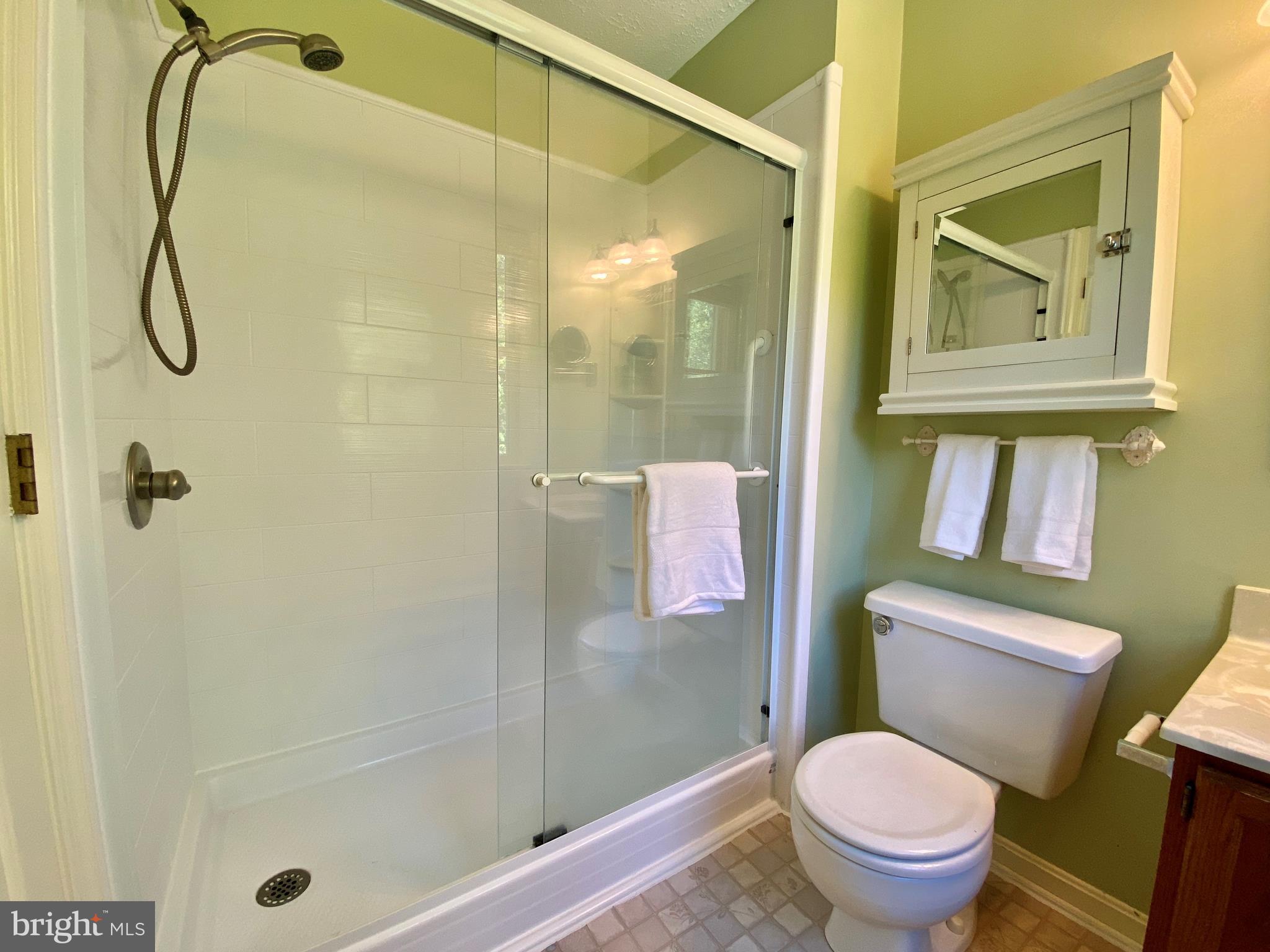 6799 Howellsville Road Boyce, VA 22620 - Photo 30 of 53 Master Bathroom with Beautiful Shower