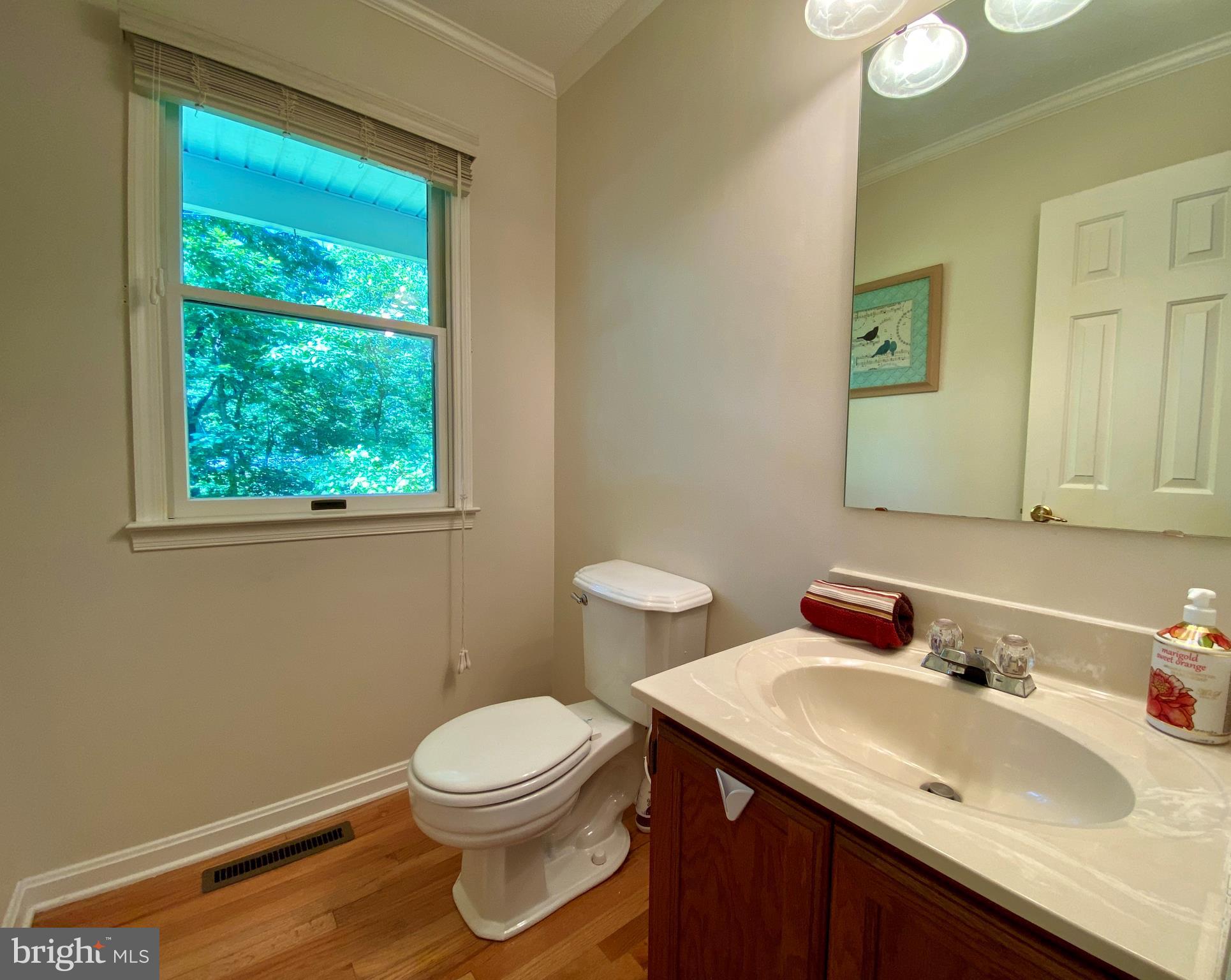 6799 Howellsville Road Boyce, VA 22620 - Photo 32 of 53 Main Level Powder Room off Foyer