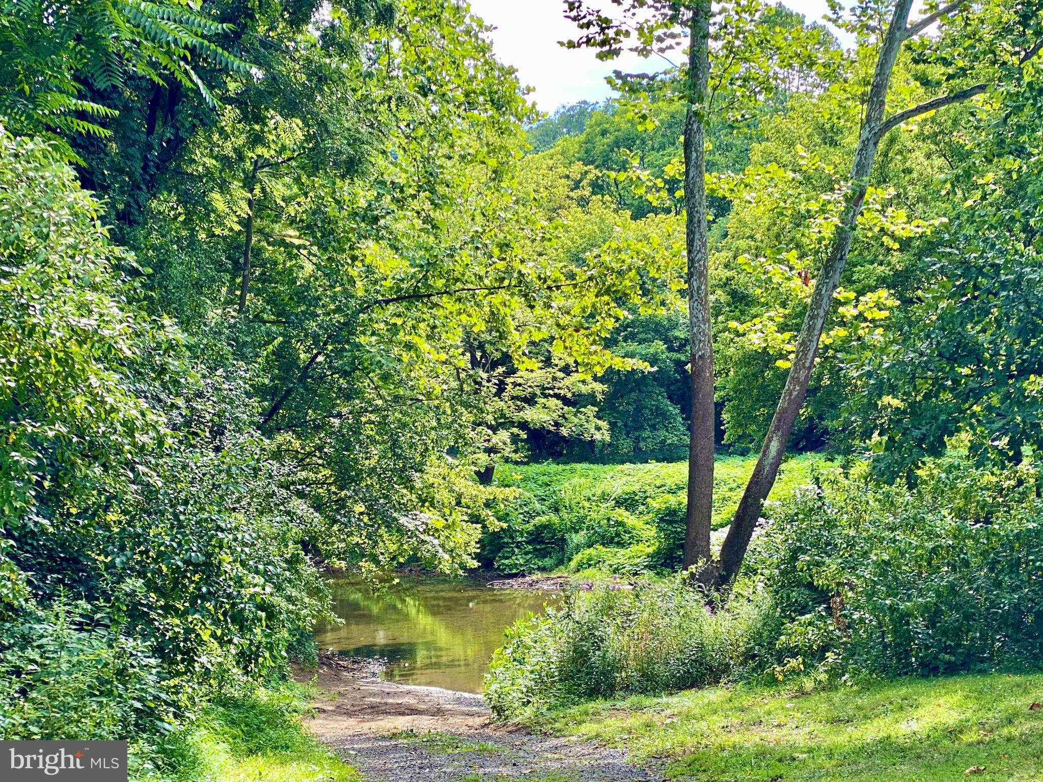6799 Howellsville Road Boyce, VA 22620 - Photo 5 of 53 Treasure Island: River Access