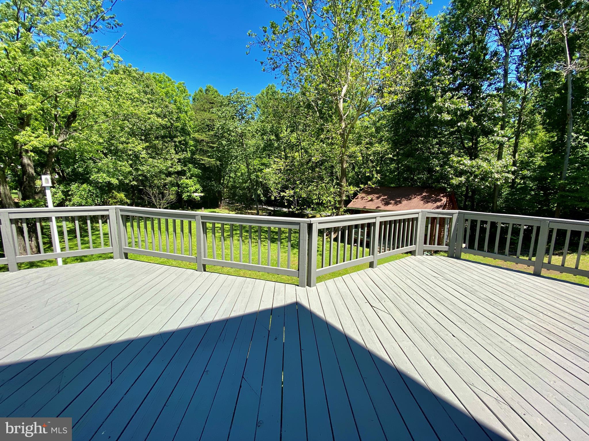 6799 Howellsville Road Boyce, VA 22620 - Photo 9 of 53 HUGE Wraparound Porch
