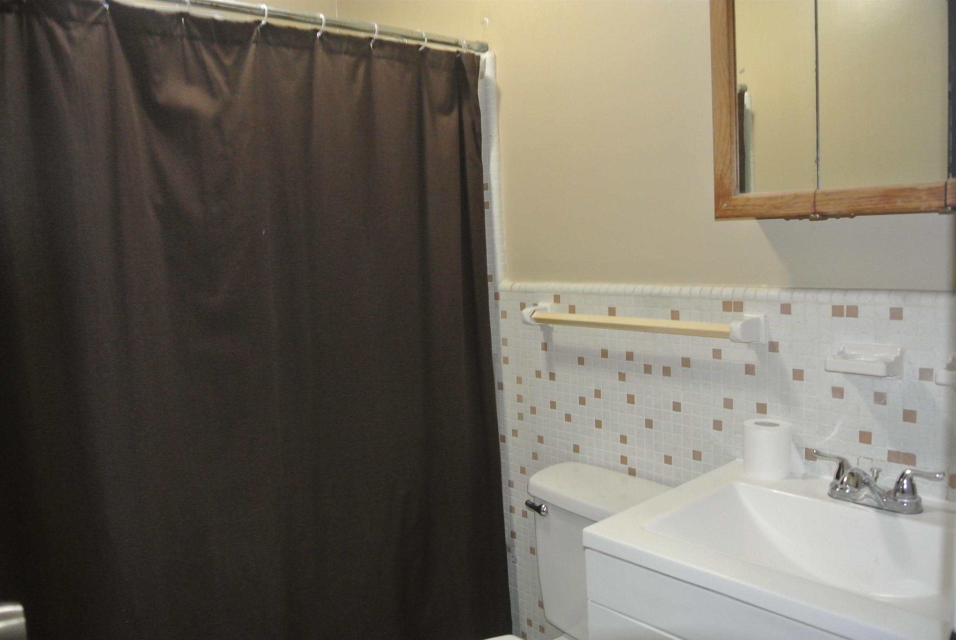 426 Cardinal Drive Collierville, TN 38017 - Photo 19 of 21 a bathroom with a sink and a shower curtain