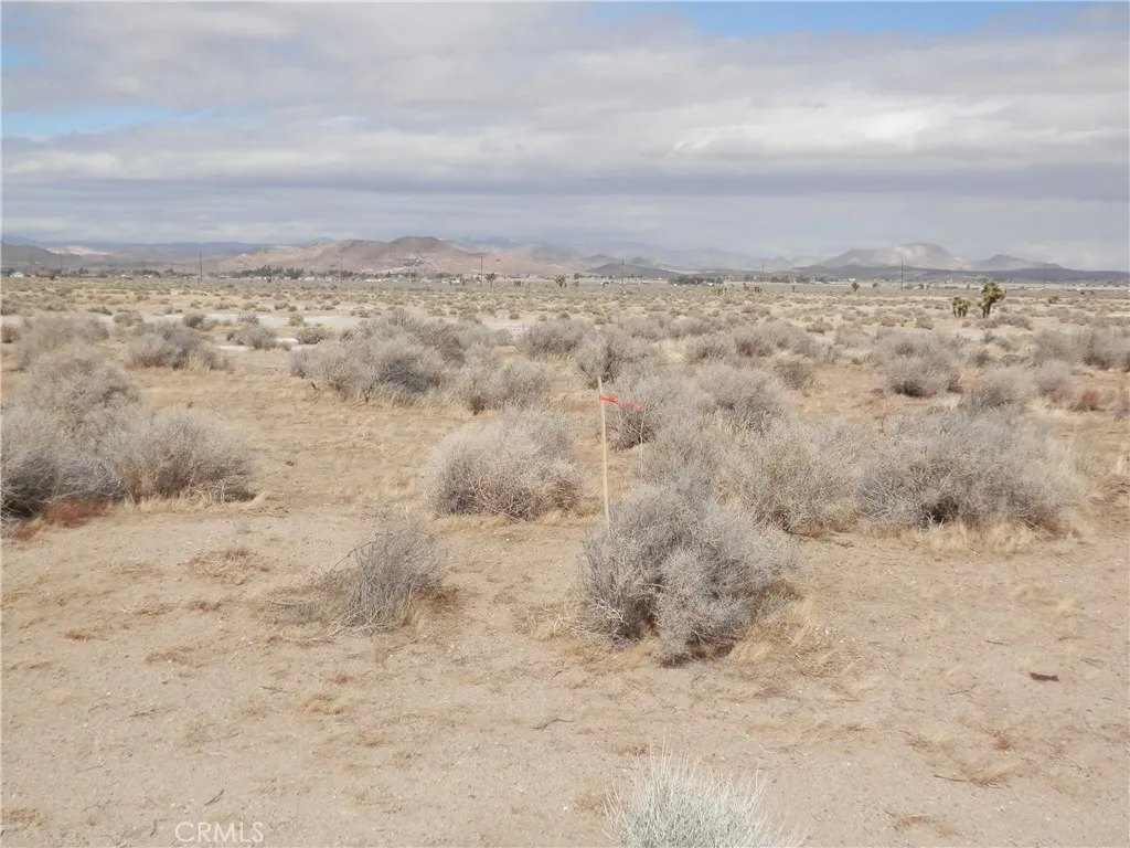 0 Gaskell Road Rosamond, CA 93560 - Photo 3 of 20