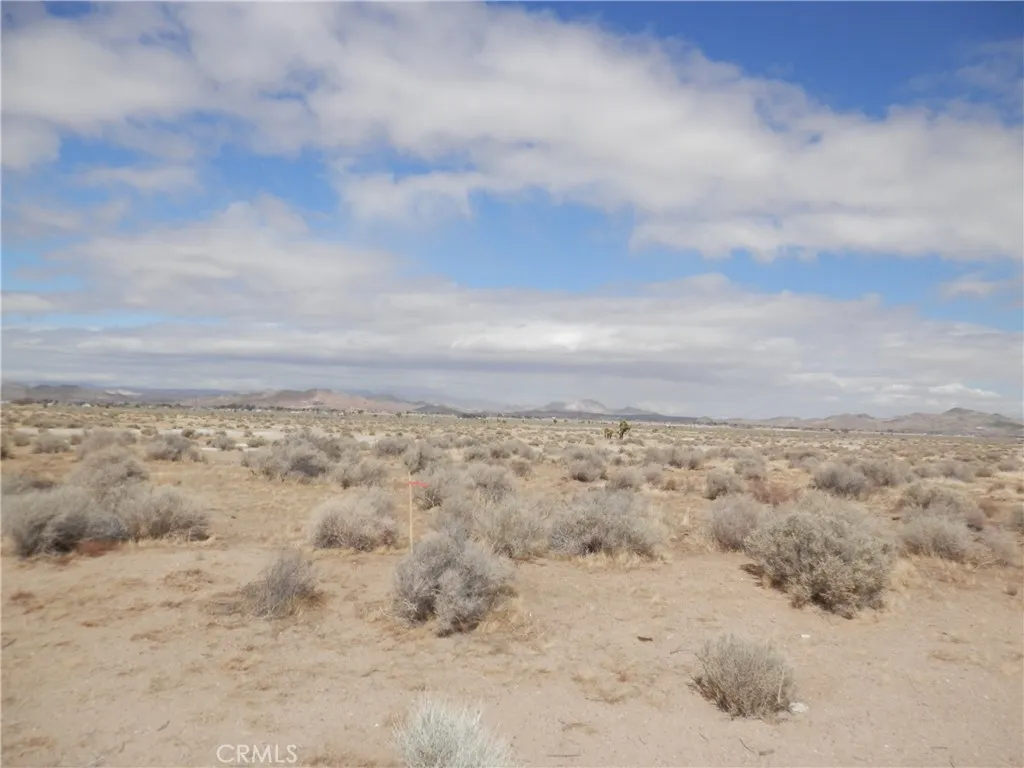 0 Gaskell Road Rosamond, CA 93560 - Photo 9 of 20 view of a covered with large trees