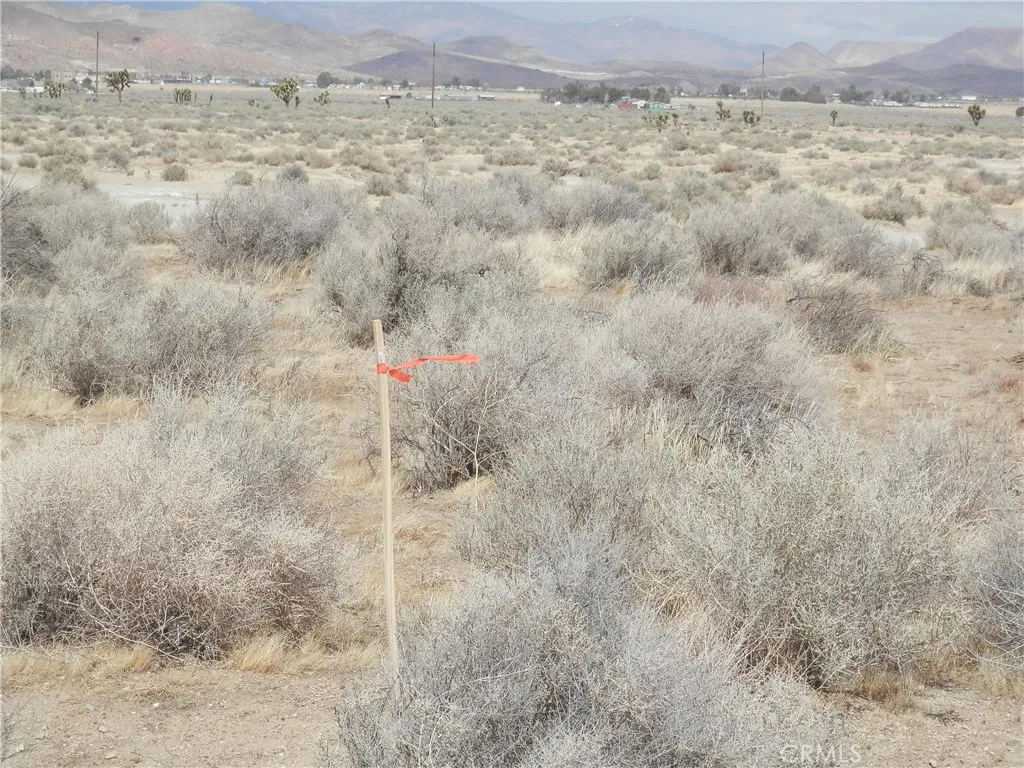 0 Gaskell Road Rosamond, CA 93560 - Photo 10 of 20 a view of a dry yard