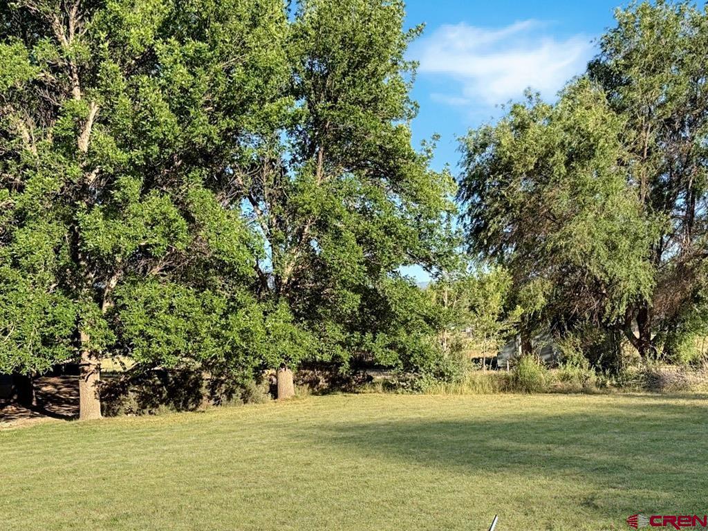 10944 3500th Road Hotchkiss, CO 81419 - Photo 29 of 45