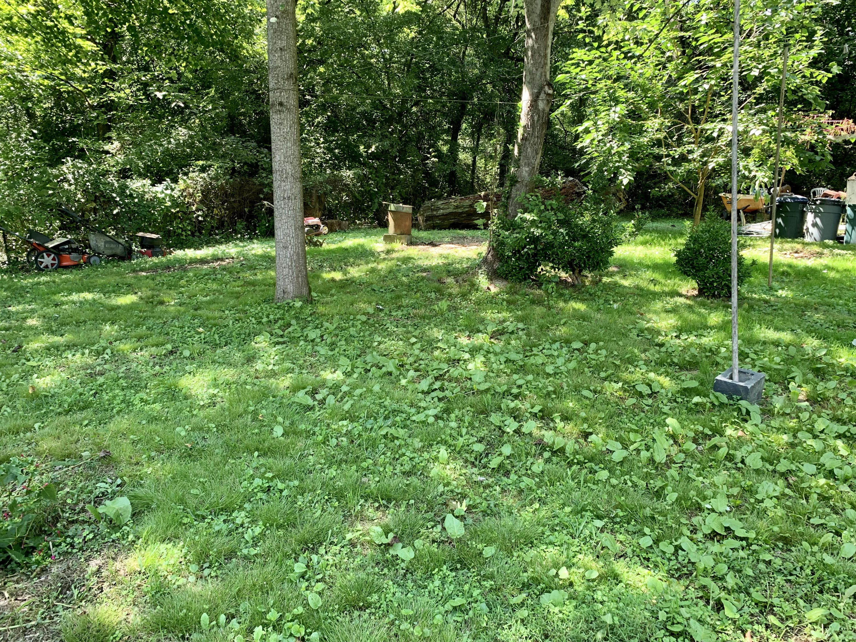 2503 Spring Hill Road Knoxville, TN 37914 - Photo 7 of 7 Yard