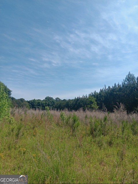 0 Pulliam Mill Road Dewy Rose, GA 30634 - Photo 6 of 13