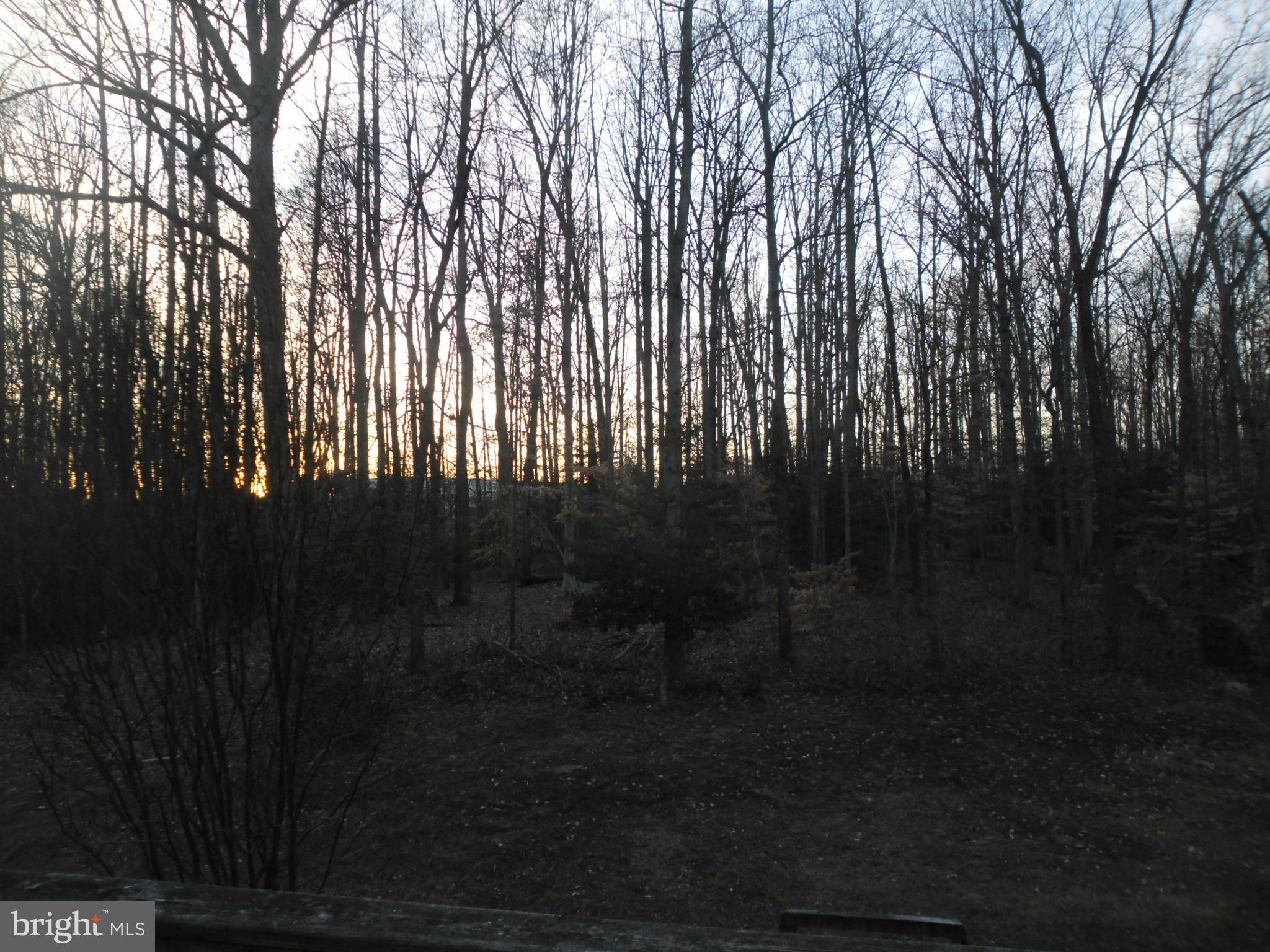 503 Crossing Road Fredericksburg, VA 22406 - Photo 12 of 12 View from deck