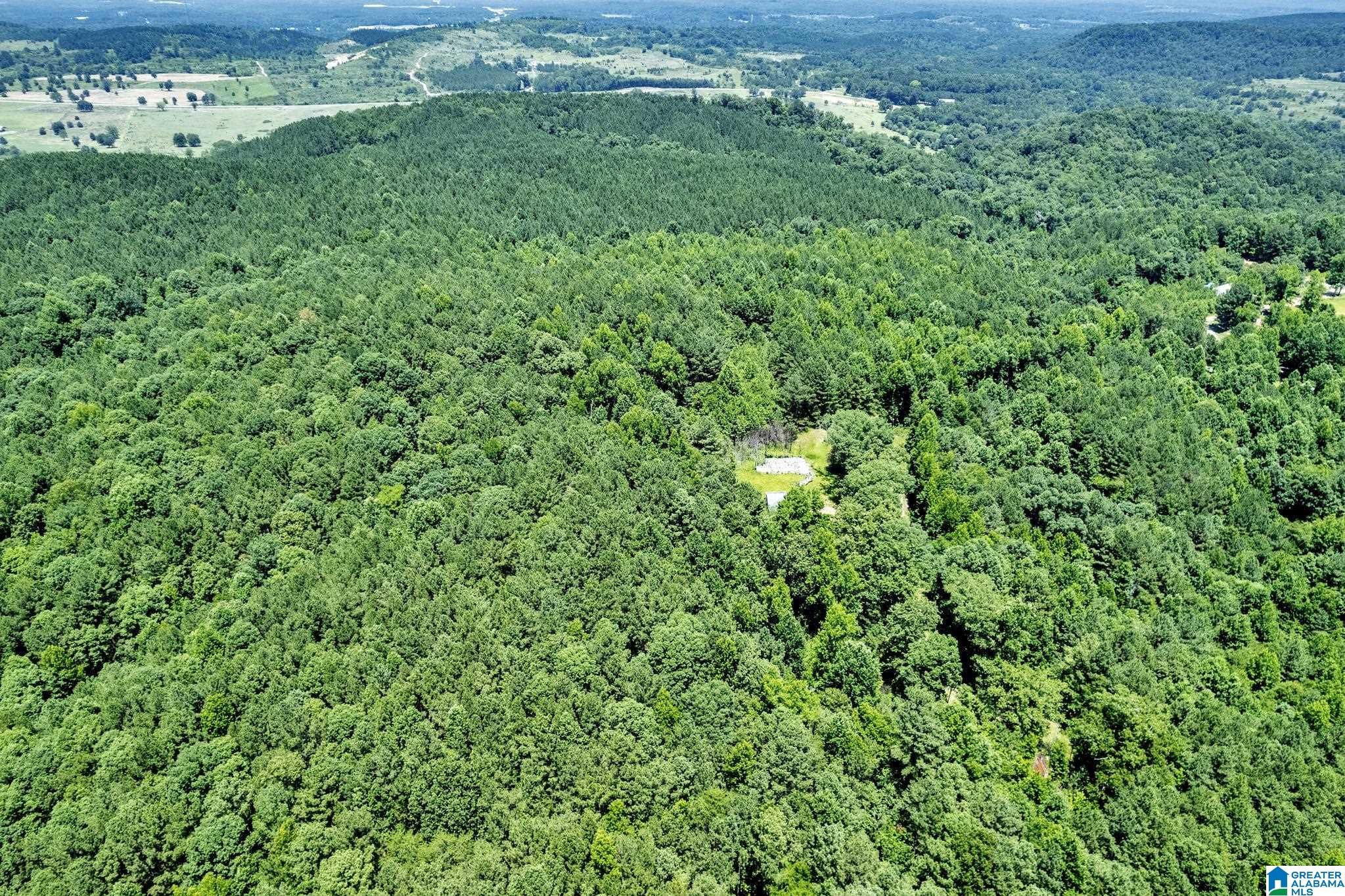 572 Dunn Hill Road Parrish, AL 35580 - Photo 15 of 25