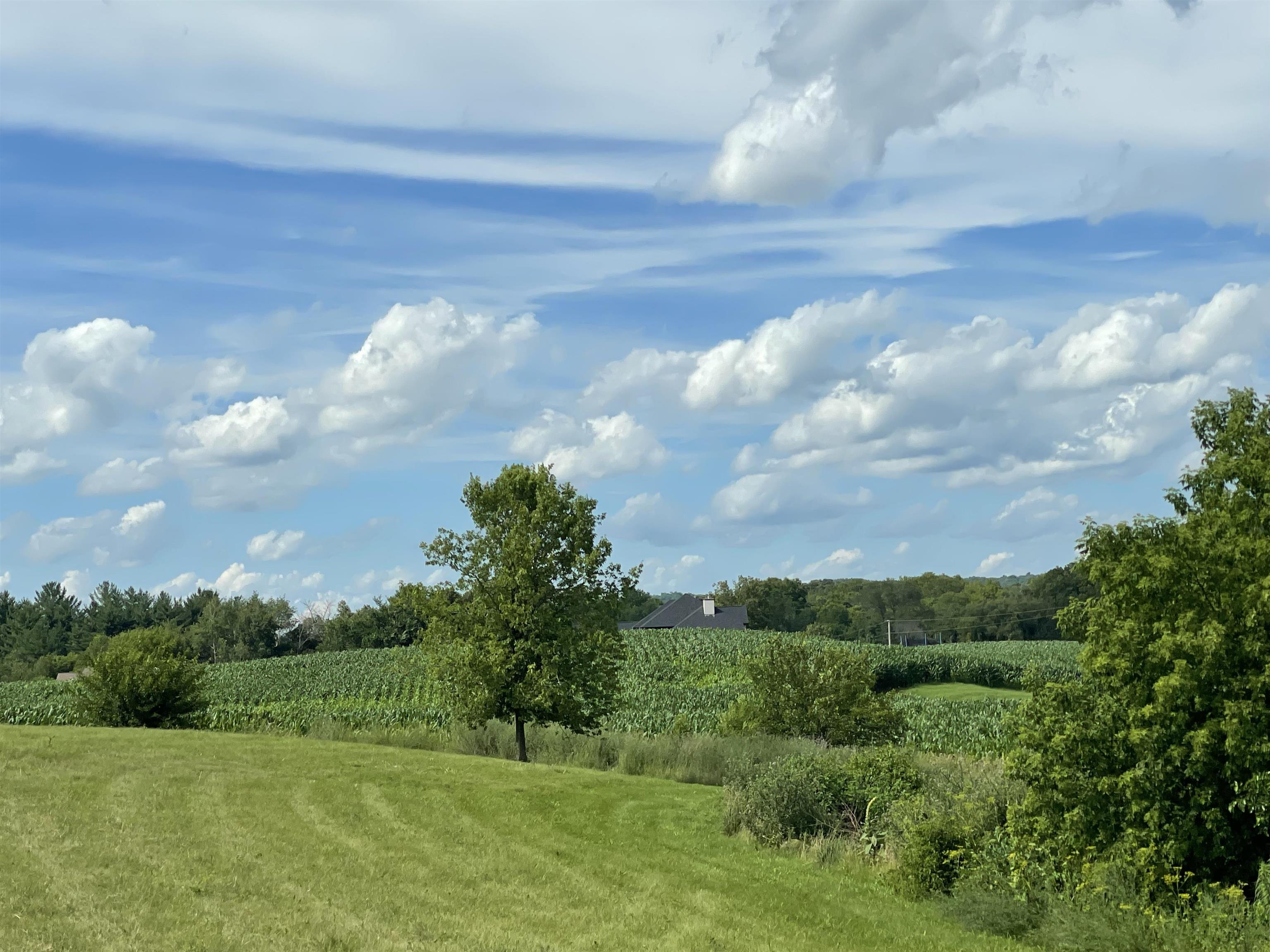 Lot 42 Jenny Lind Sauk City, WI 53583 - Photo 4 of 15