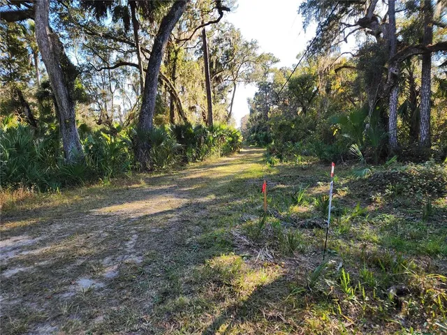 a big yard with lots of green space and trees