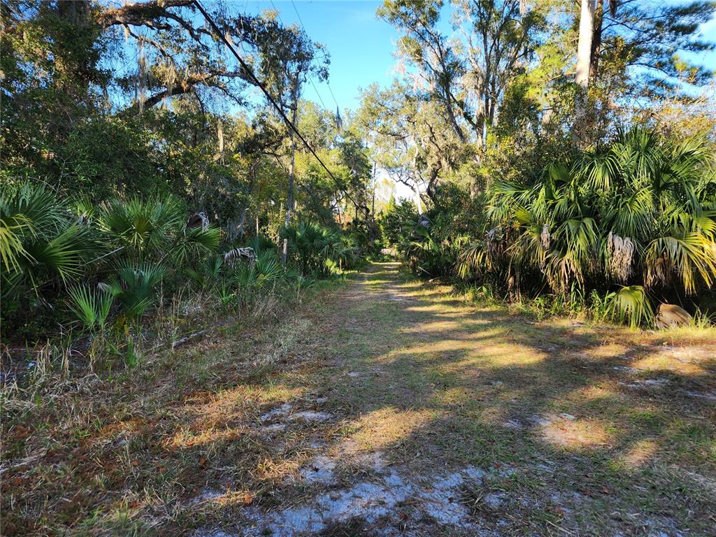 13022 East Shawnee Trail Inverness, FL 34450 - Photo 2 of 80 a view of outdoor space with trees