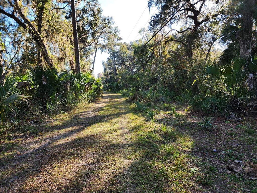 13022 East Shawnee Trail Inverness, FL 34450 - Photo 38 of 80