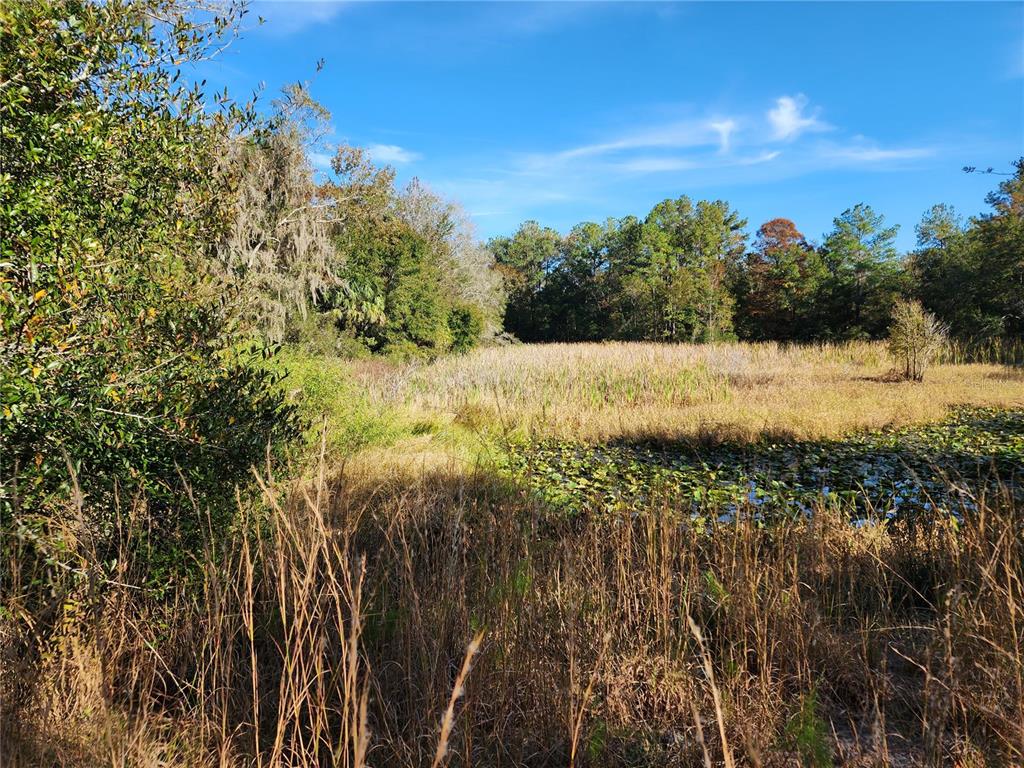 13022 East Shawnee Trail Inverness, FL 34450 - Photo 40 of 80