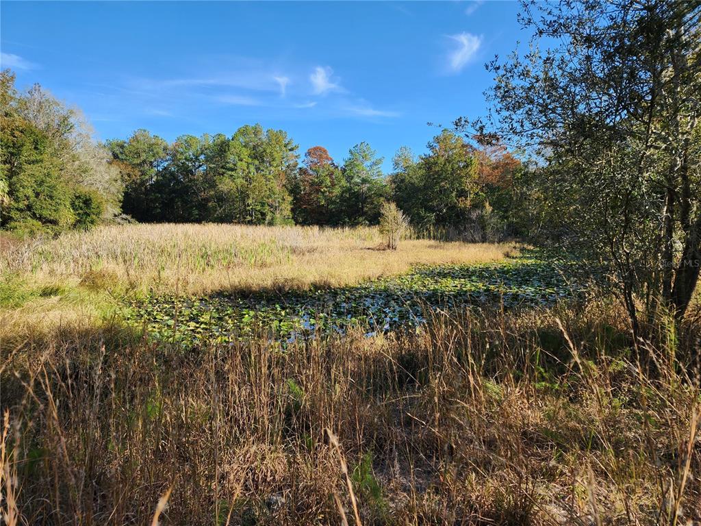 13022 East Shawnee Trail Inverness, FL 34450 - Photo 41 of 80