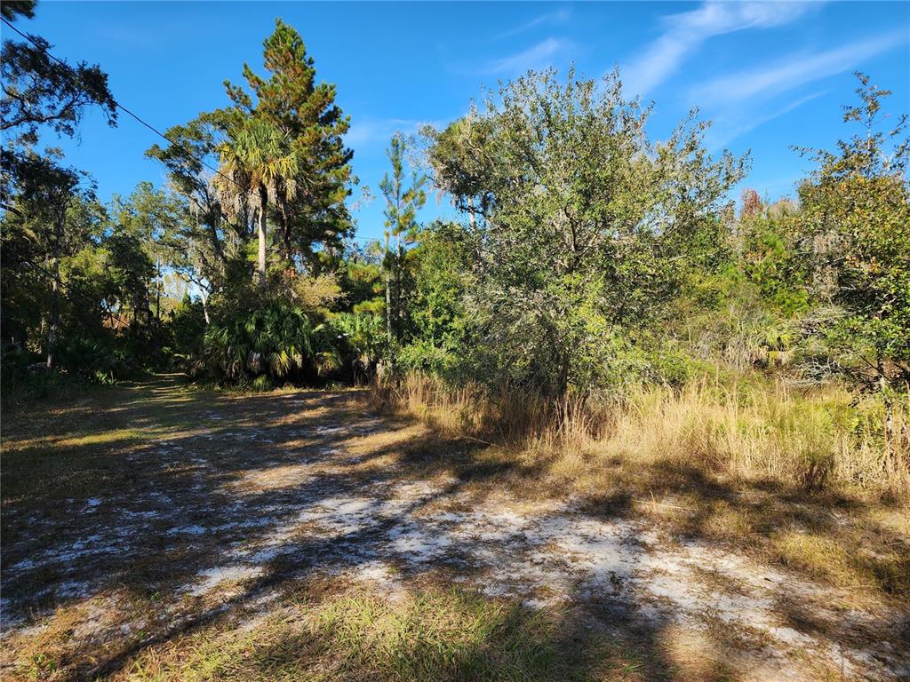 13022 East Shawnee Trail Inverness, FL 34450 - Photo 43 of 80 a view of a yard