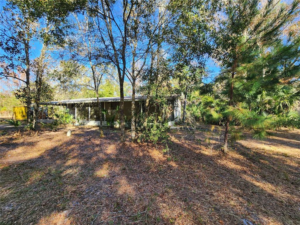 13022 East Shawnee Trail Inverness, FL 34450 - Photo 46 of 80 a view of a yard with plants and trees