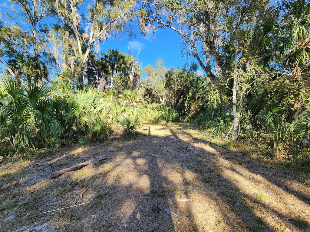 13022 East Shawnee Trail Inverness, FL 34450 - Photo 48 of 80 a view of a yard with a tree