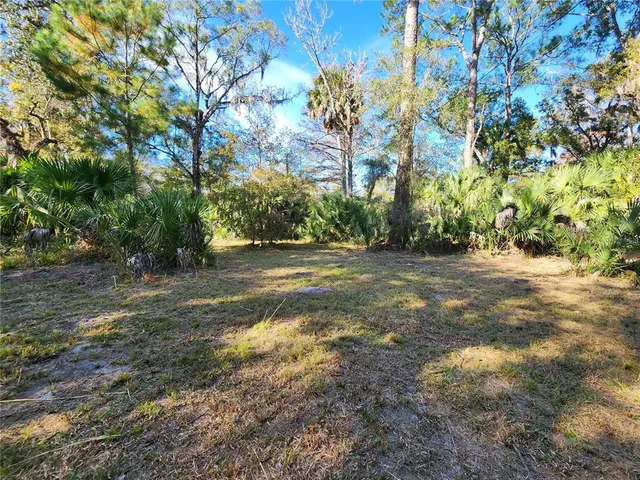 a view of backyard with green space