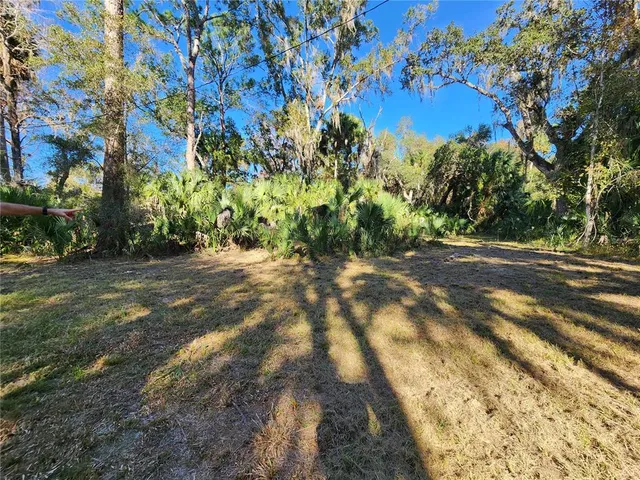 a backyard of a house with lots of green space and trees