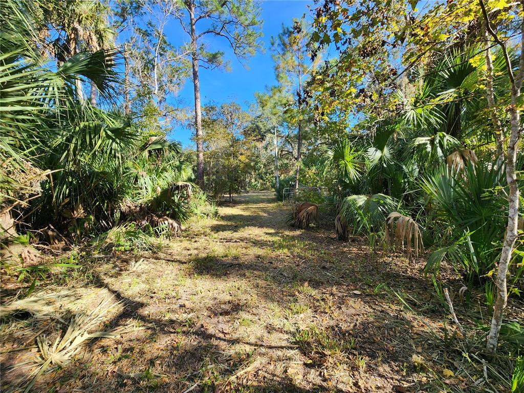 13022 East Shawnee Trail Inverness, FL 34450 - Photo 52 of 80