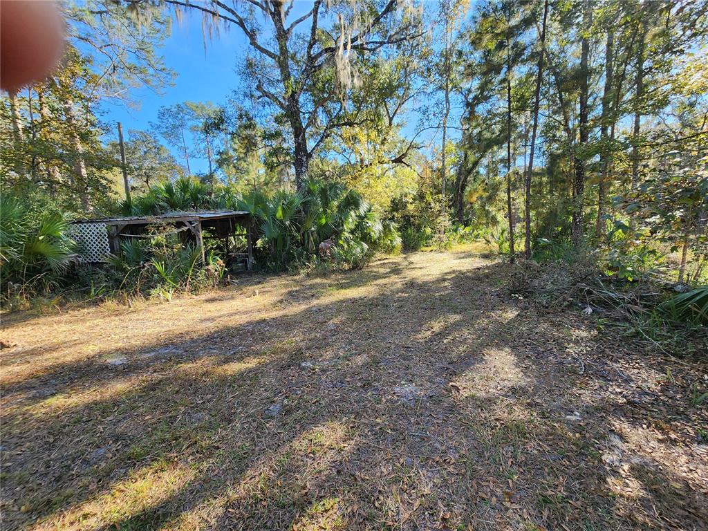 13022 East Shawnee Trail Inverness, FL 34450 - Photo 58 of 80 a view of backyard with green space