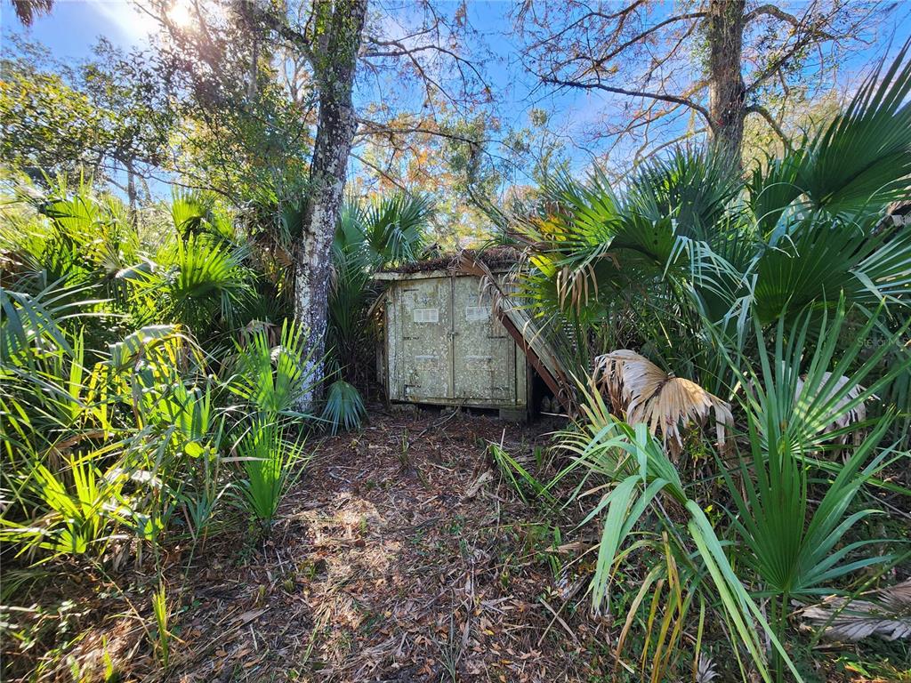 13022 East Shawnee Trail Inverness, FL 34450 - Photo 64 of 80 a backyard of a house with lots of green space
