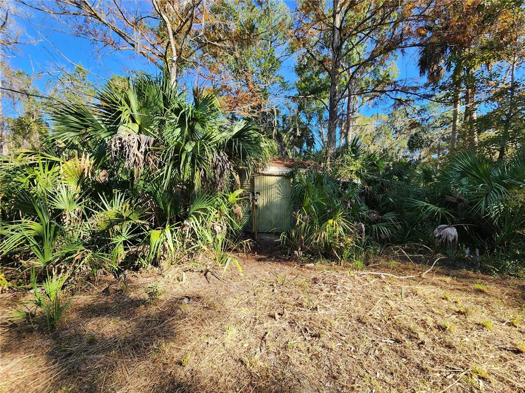 13022 East Shawnee Trail Inverness, FL 34450 - Photo 65 of 80 a view of a yard with plants and large trees