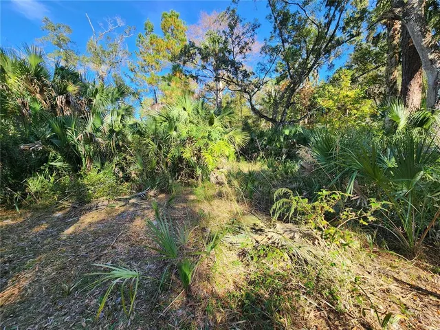 $125,000 | 13022 East Shawnee Trail, Inverness, FL 34450