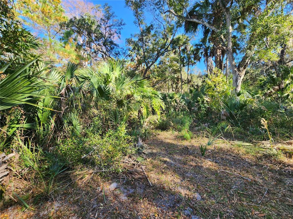 13022 East Shawnee Trail Inverness, FL 34450 - Photo 75 of 80