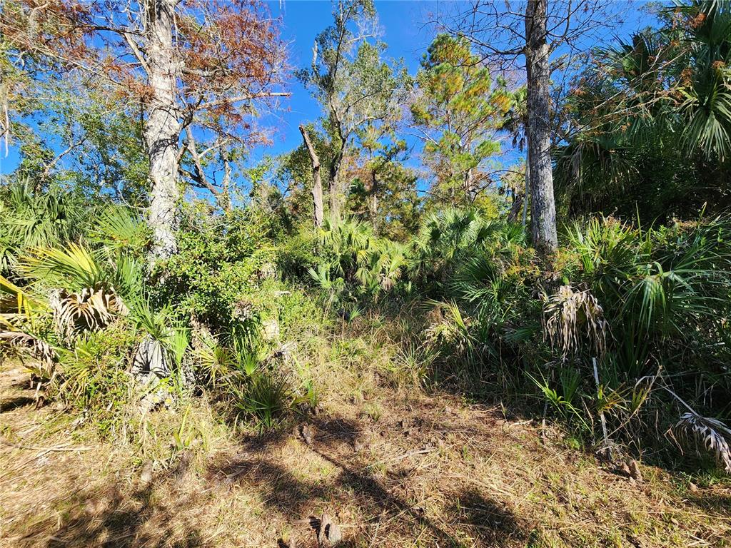 13022 East Shawnee Trail Inverness, FL 34450 - Photo 77 of 80