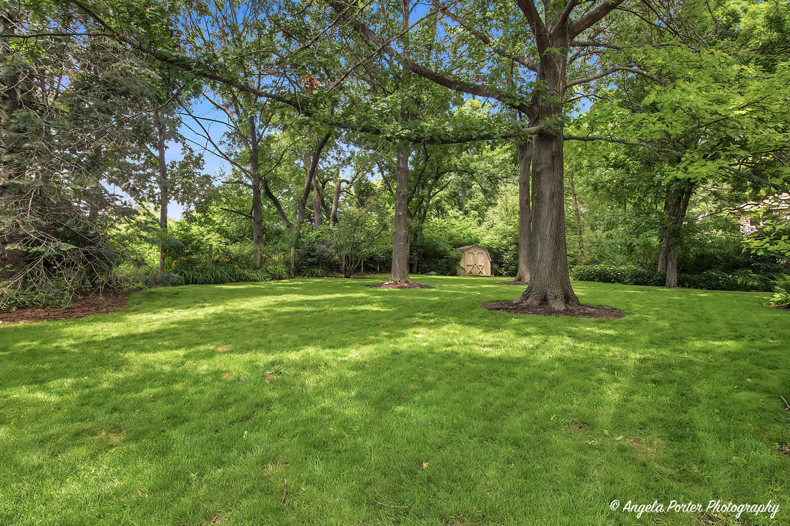 8919 Tahoe Lane Spring Grove, IL 60081 - Photo 11 of 52