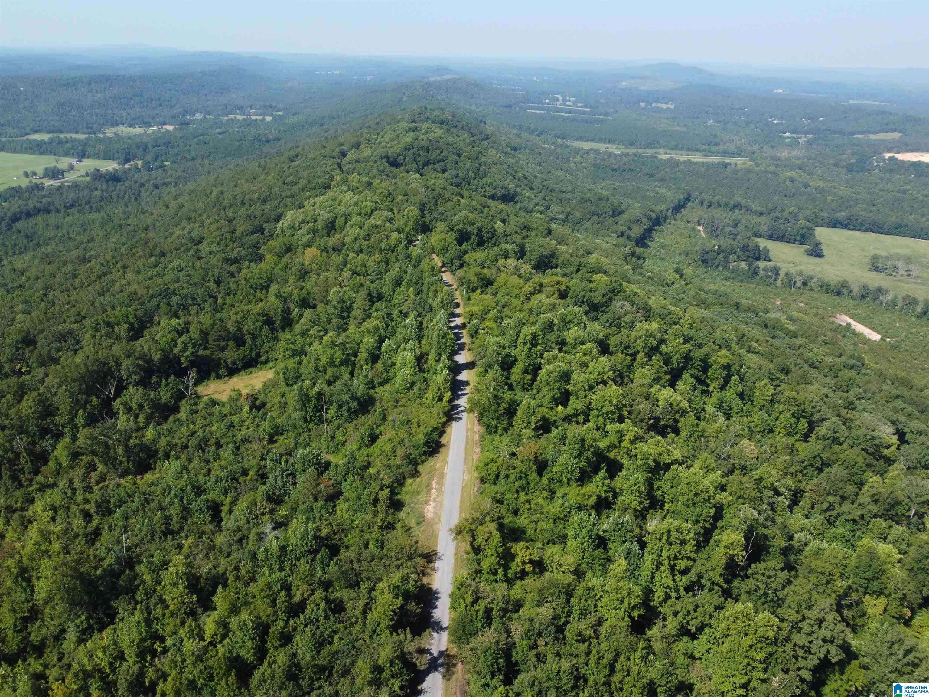0 Beaver Mountain Road Ashville, AL 35953 - Photo 16 of 40
