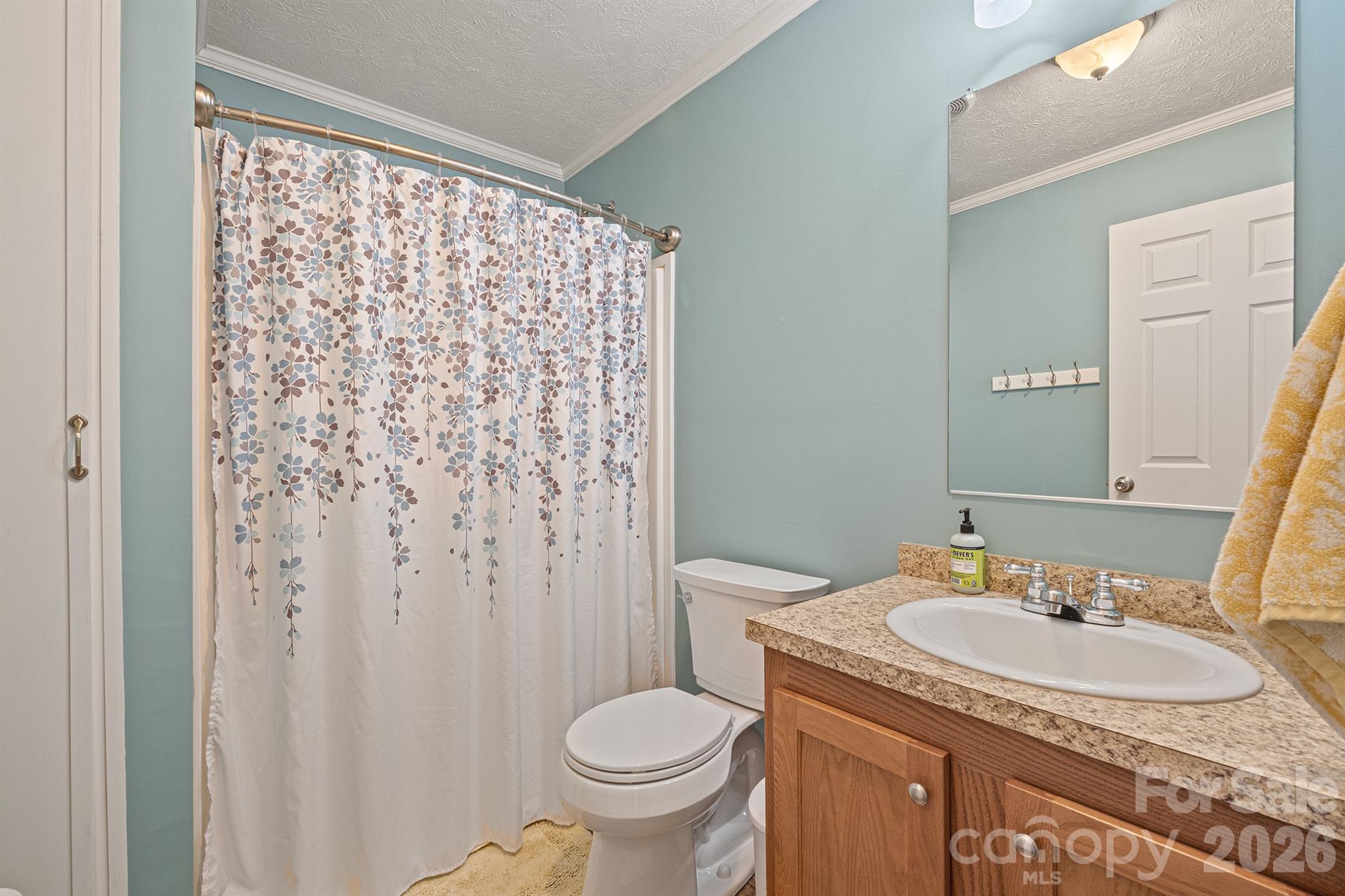 2517 Horseshoe Road Westfield, NC 27053 - Photo 20 of 45