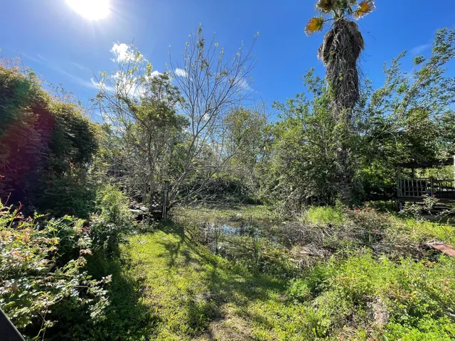 a view of a yard with potted plants