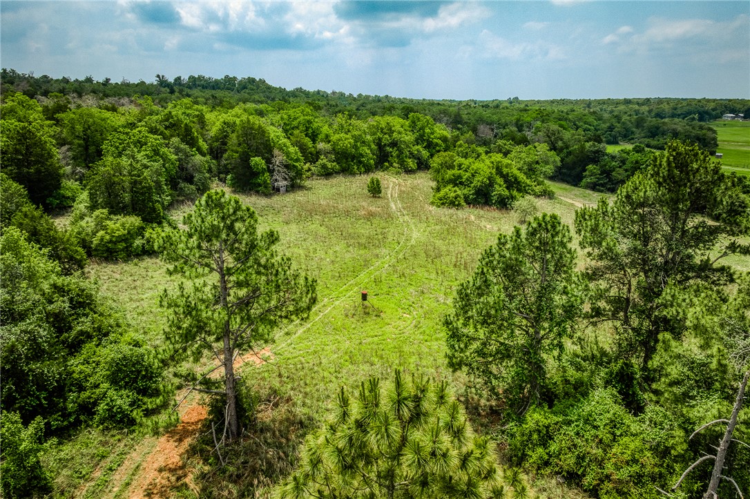 2330 County Road 329 Milano, TX 76556 - Photo 1 of 45 a view of a garden with an outdoor space