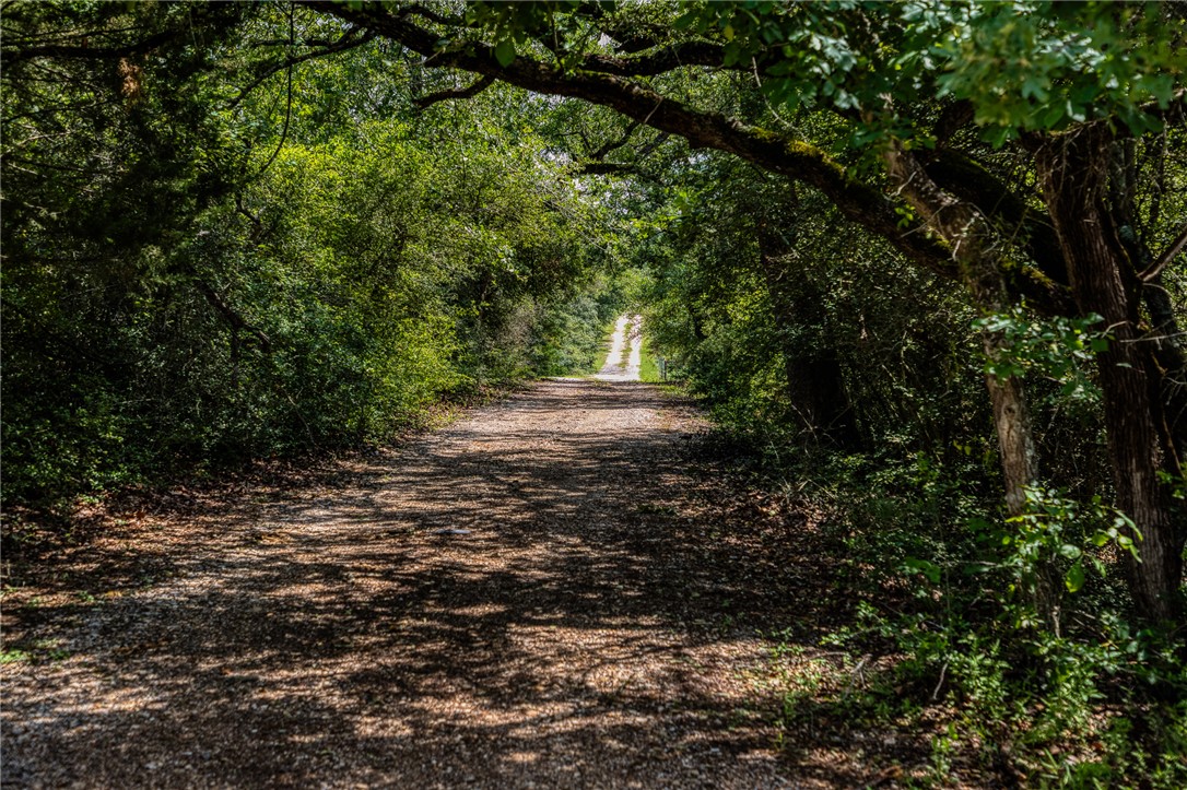 2330 County Road 329 Milano, TX 76556 - Photo 31 of 45 a view of dirt field with trees