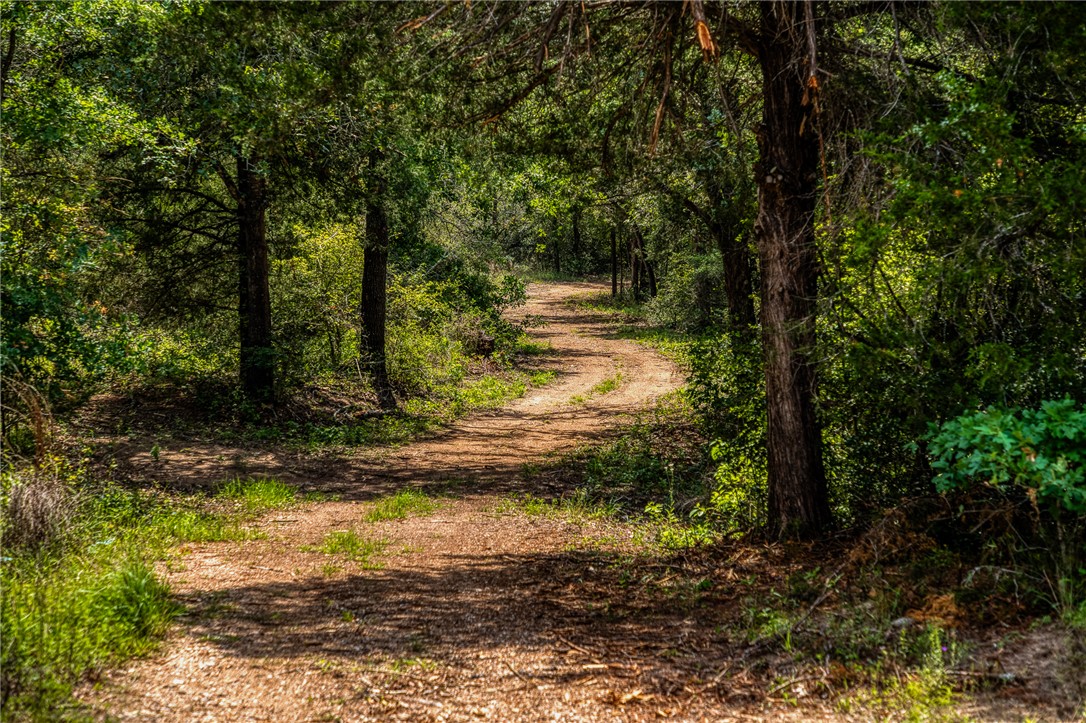 2330 County Road 329 Milano, TX 76556 - Photo 32 of 45 a view of a tree with a yard