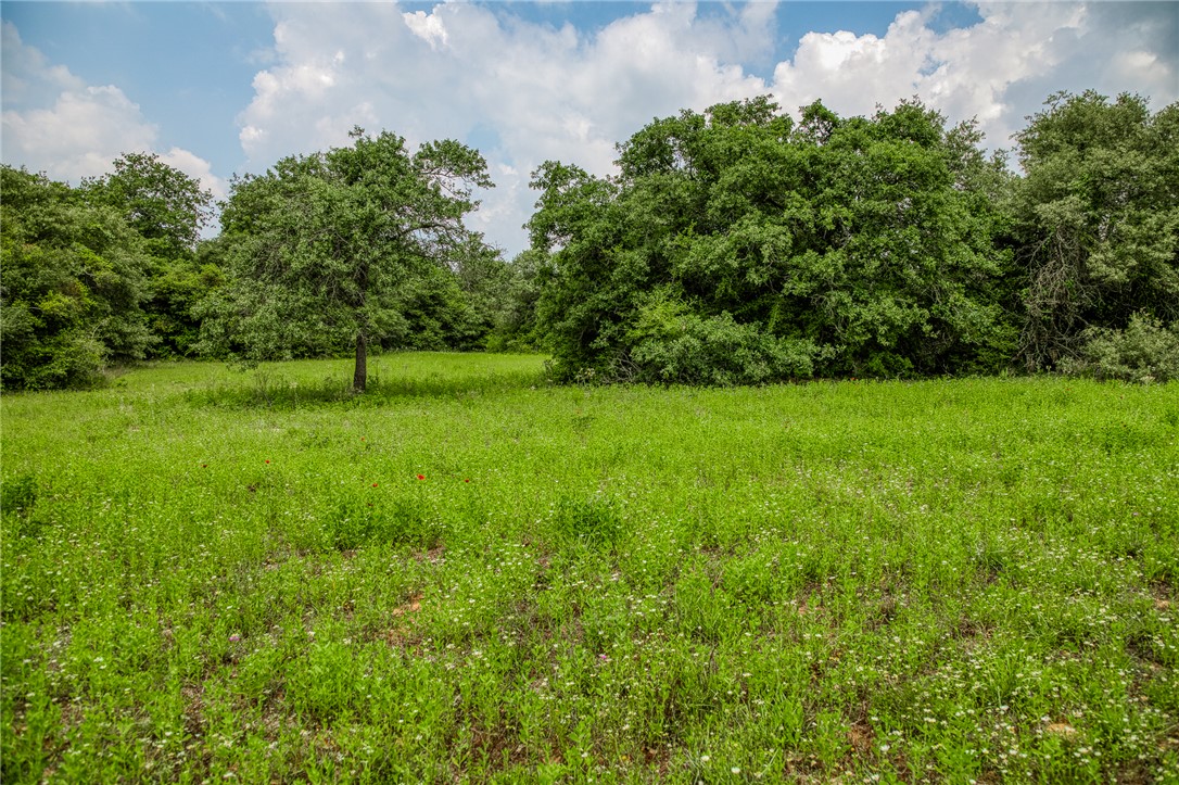 2330 County Road 329 Milano, TX 76556 - Photo 33 of 45 a view of field with trees in the background
