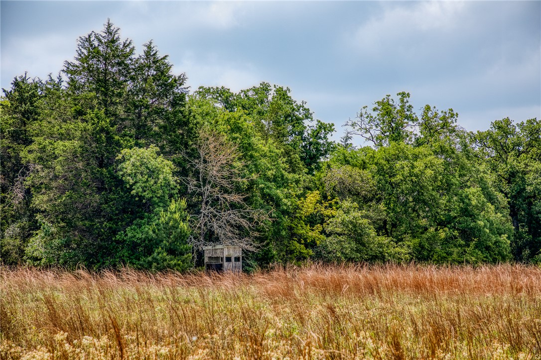 2330 County Road 329 Milano, TX 76556 - Photo 34 of 45 a view of a lake